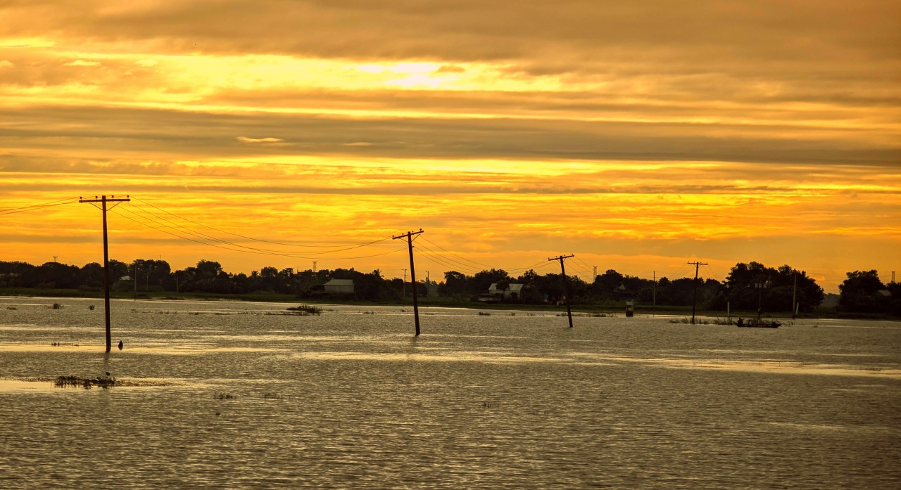 Life - Nature Photography Gallery