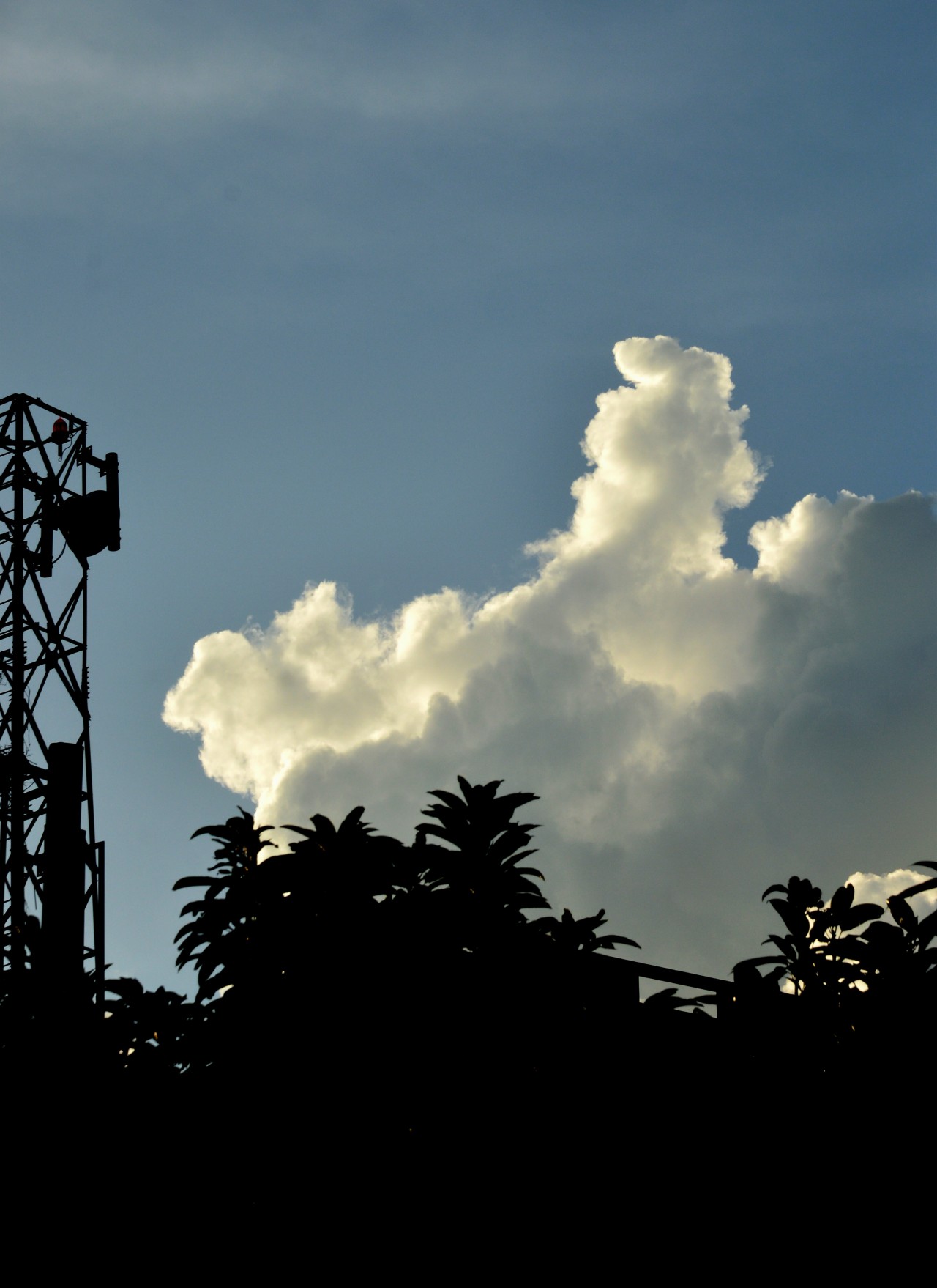 Sky light - Nature Photography Gallery