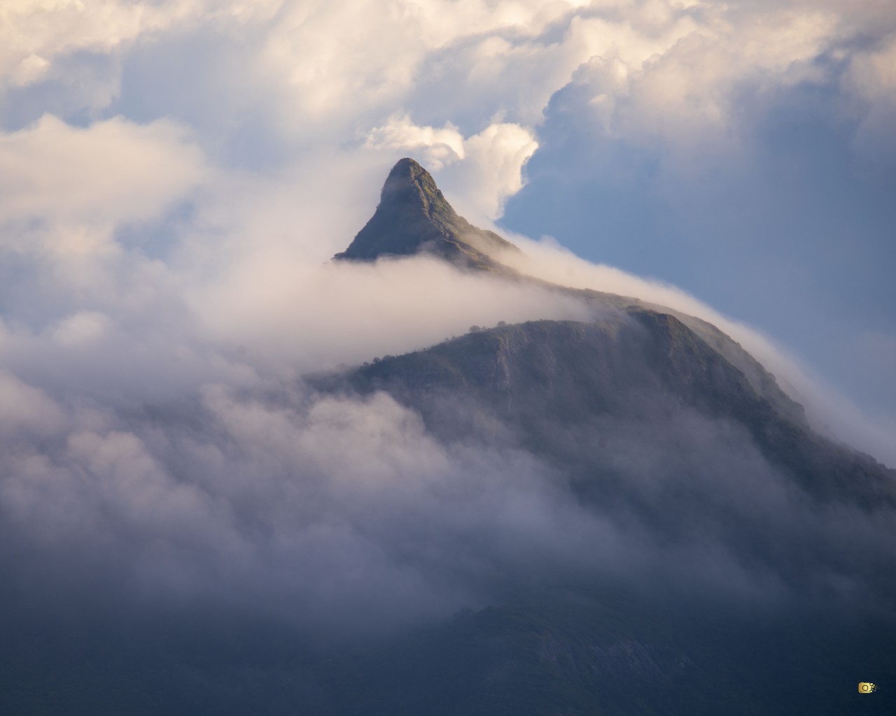 Mist Morning - Nature Photography Gallery