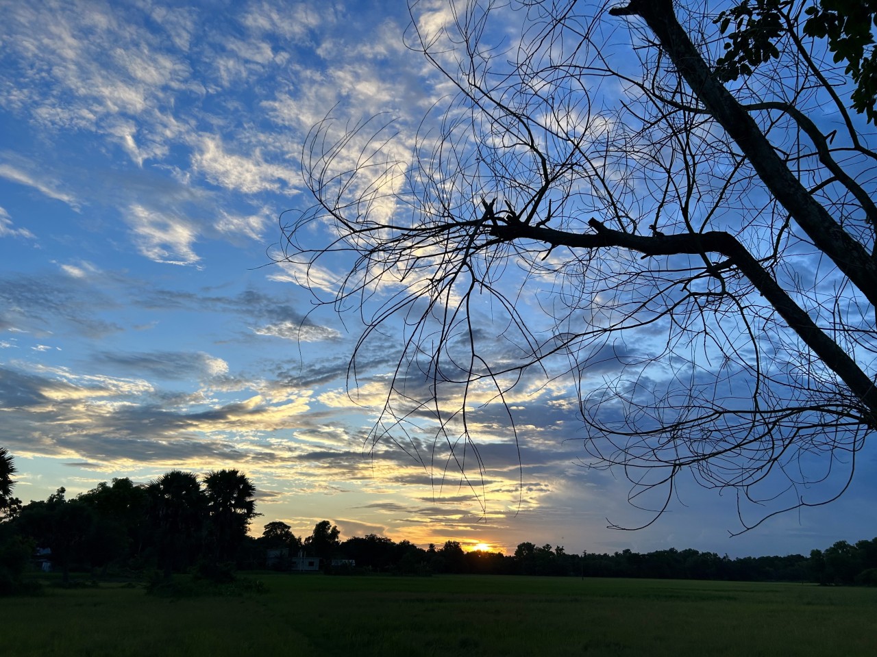 Free Landscapes photos. Rampur, Cumilla.