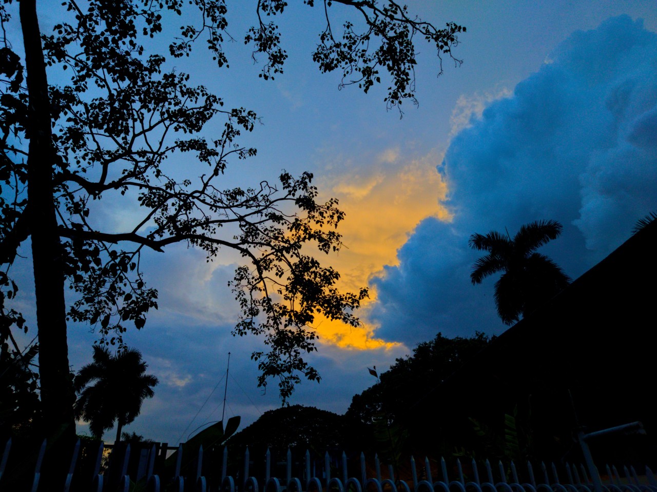 Free Skies photos. Blue Dawn.