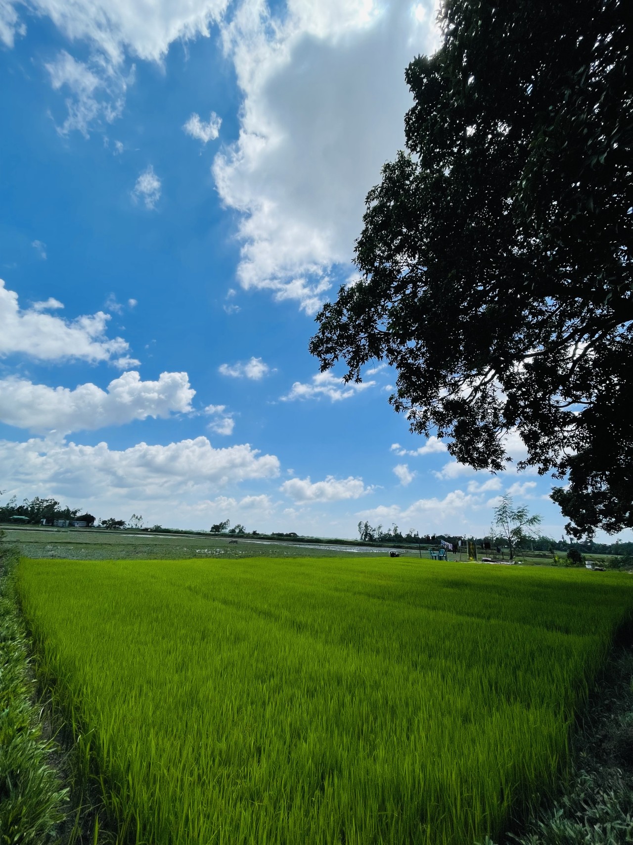 nature - Nature Photography Gallery