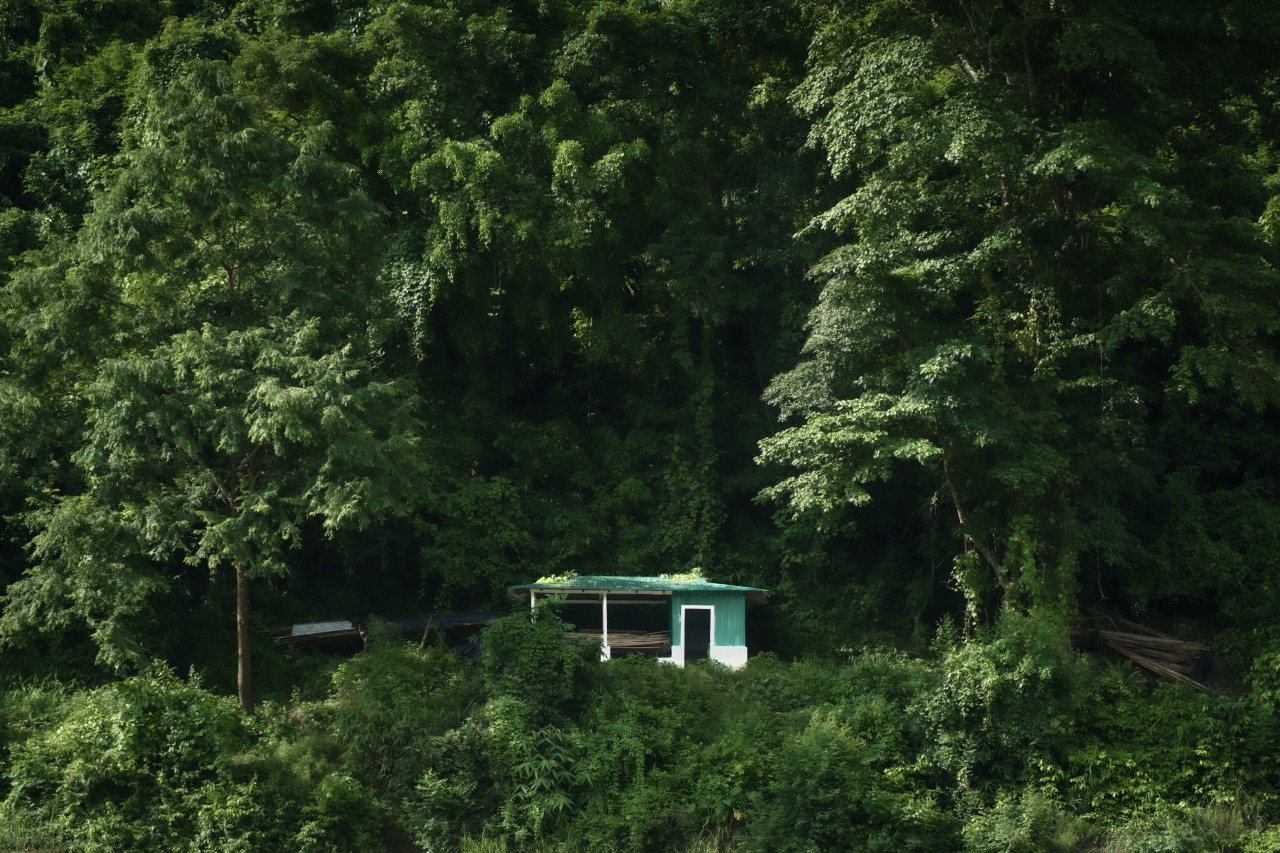 Free Forests photos. Green house in the greens.
