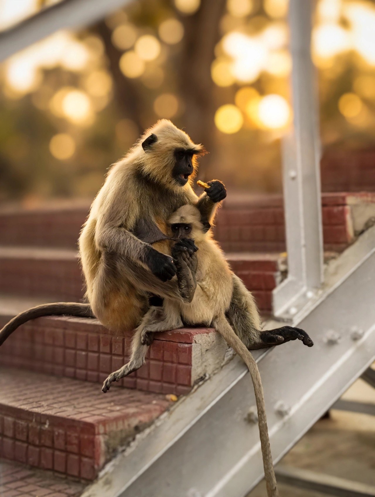 Mother's Love ?? - Nature Photography Gallery