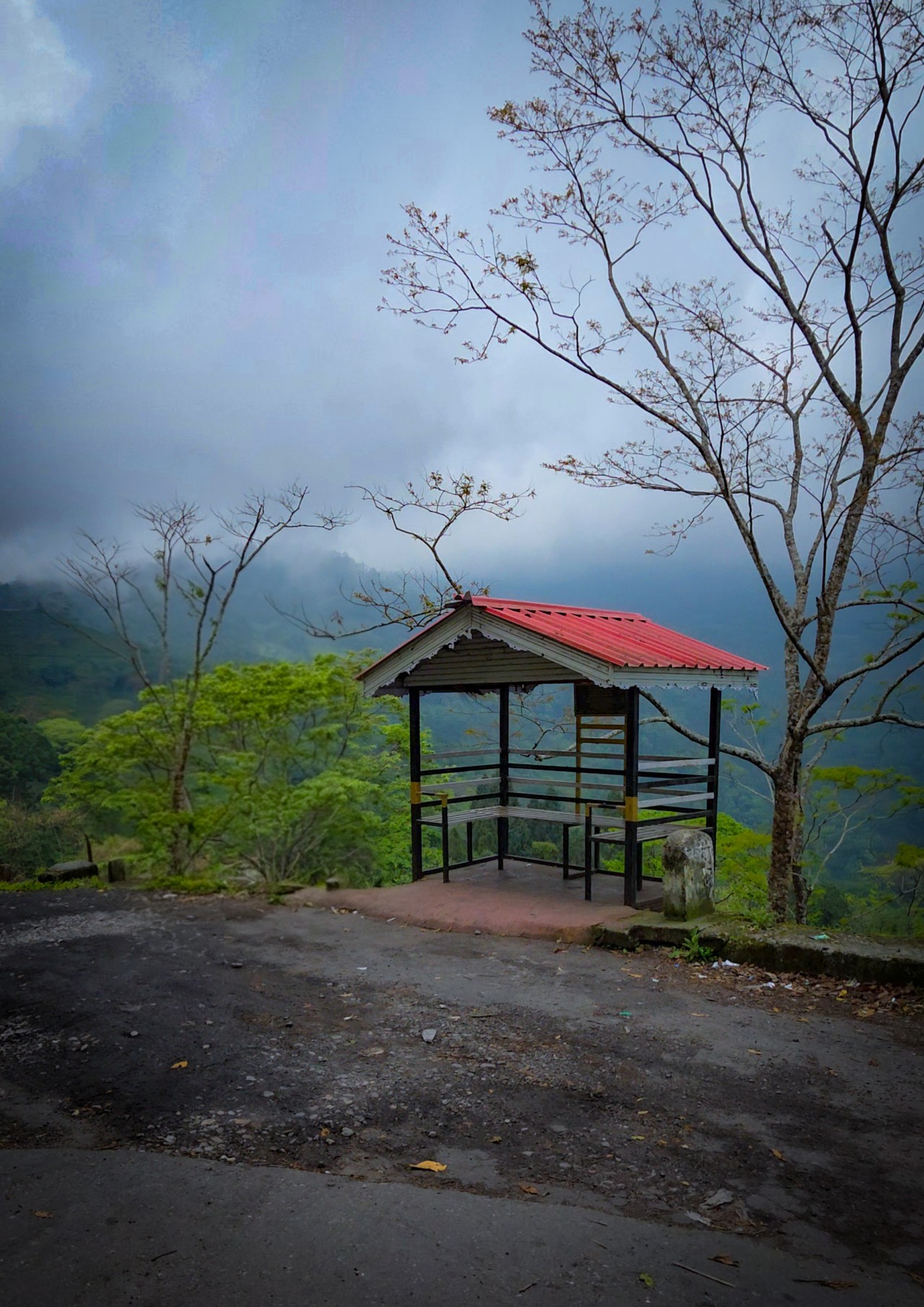 Mountain view - Nature Photography Gallery