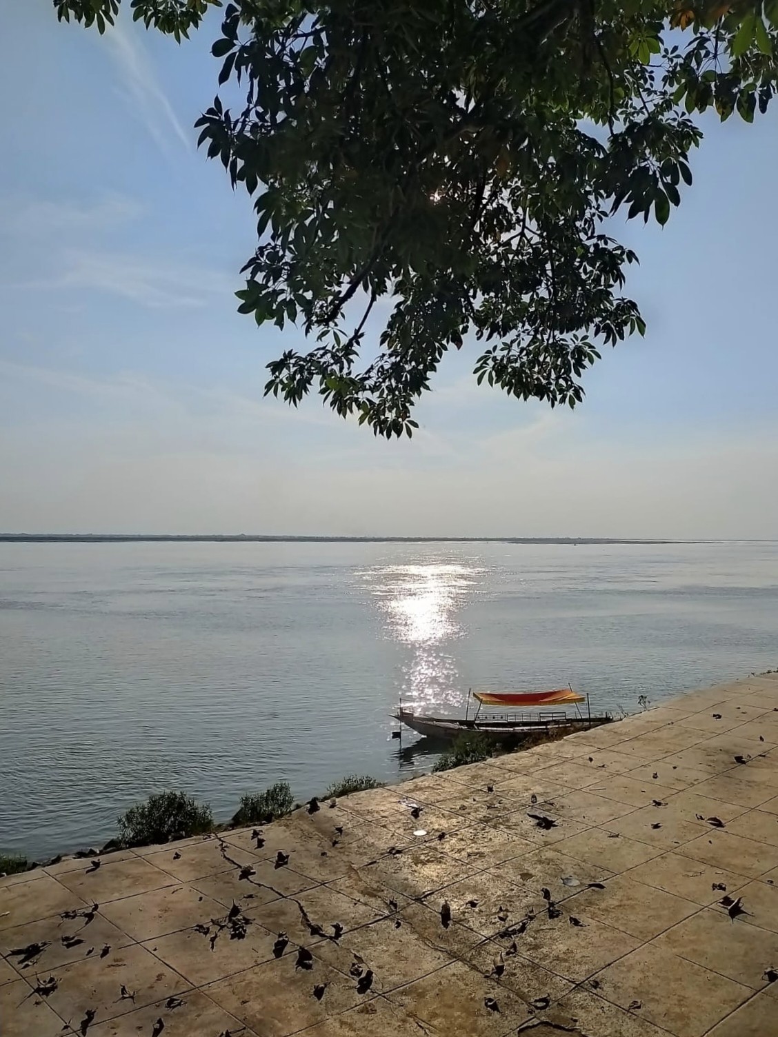 T-badh, Rajshahi - Nature Photography Gallery