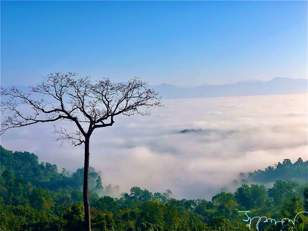 HEAVEN - Nature Photography Gallery