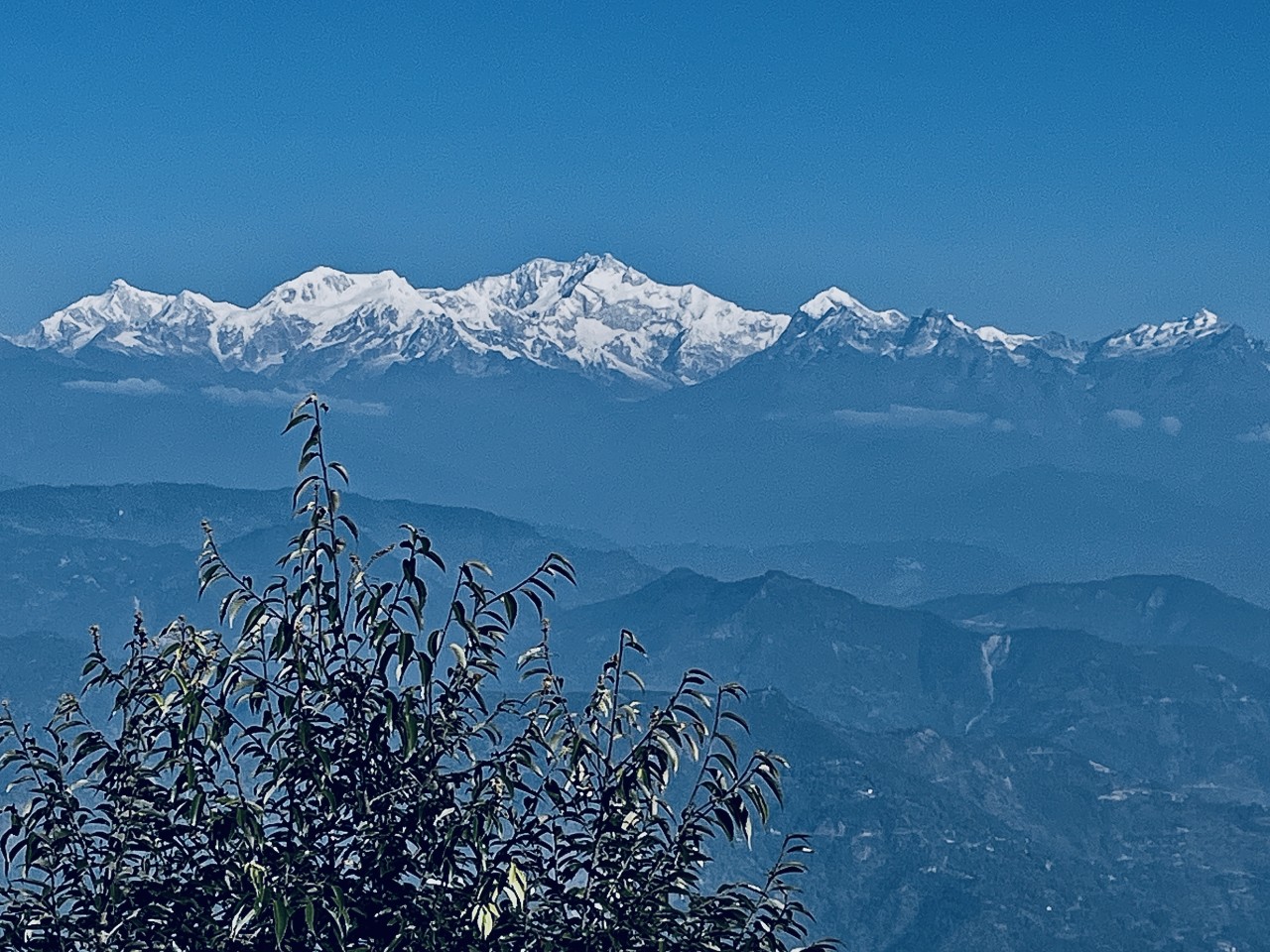 Darjeeling - Nature Photography Gallery