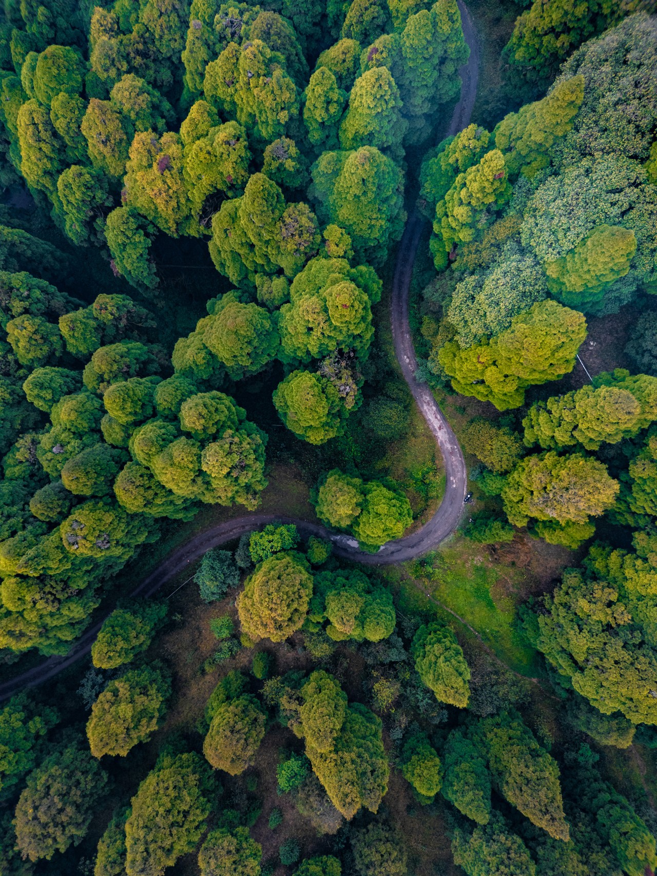 Into the Wild - Nature Photography Gallery