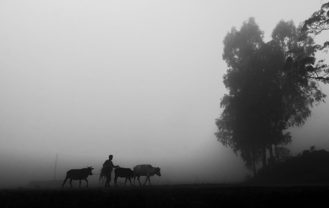 Free Landscapes photos. Rural Life In Bangladesh.