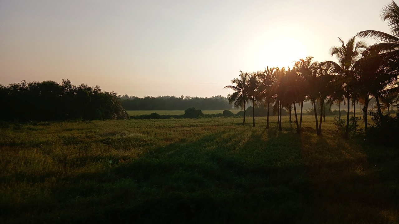 Free Landscapes photos. Golden sunrise.
