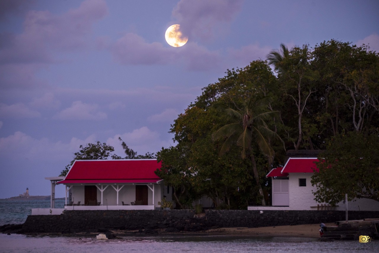 Harvest Moon Over Île au Phare - Nature Photography Gallery