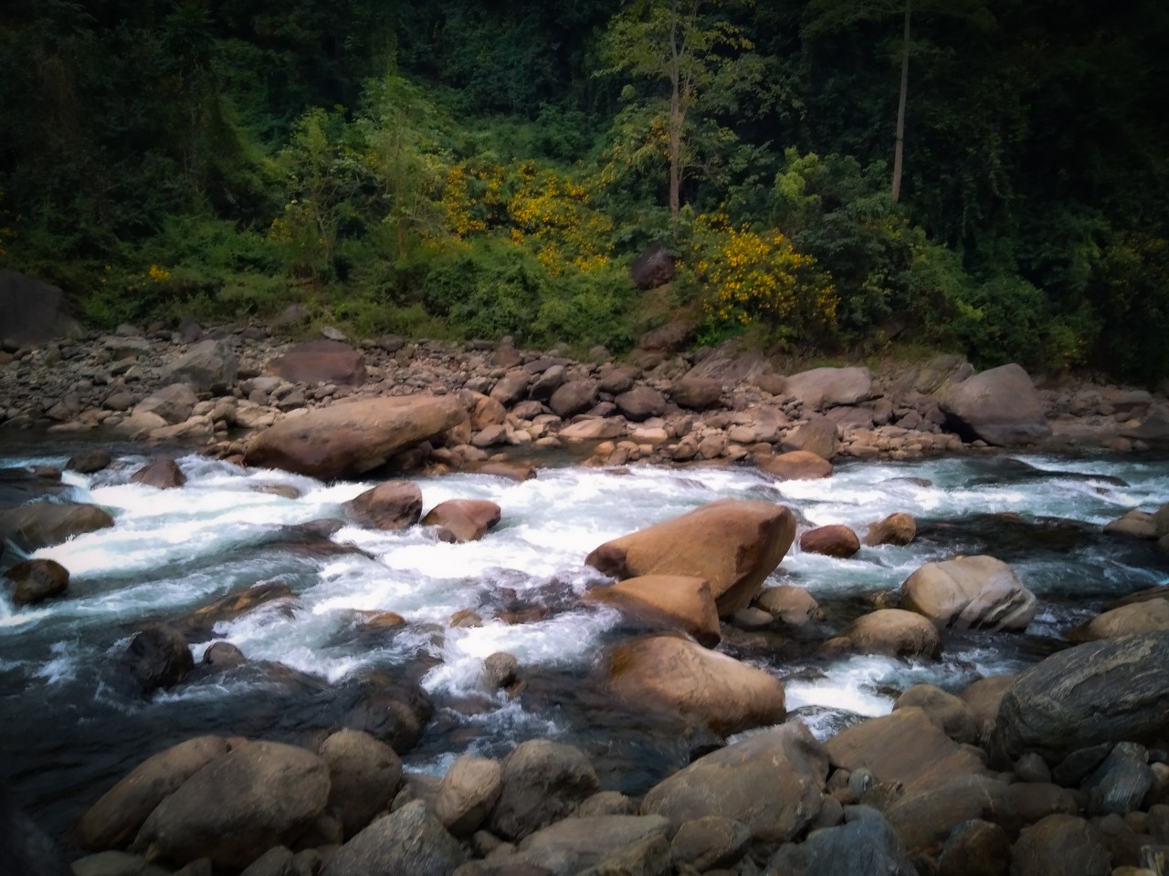 Life flows with the river - Nature Photography Gallery