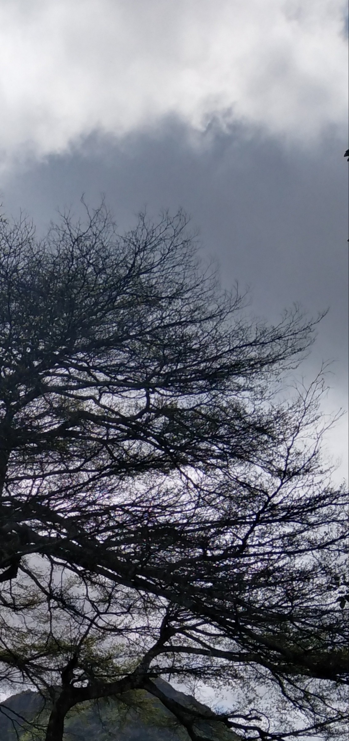 Free Skies photos. Helvetia.