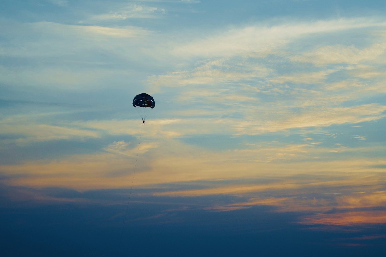 Gliding through sunset - Nature Photography Gallery