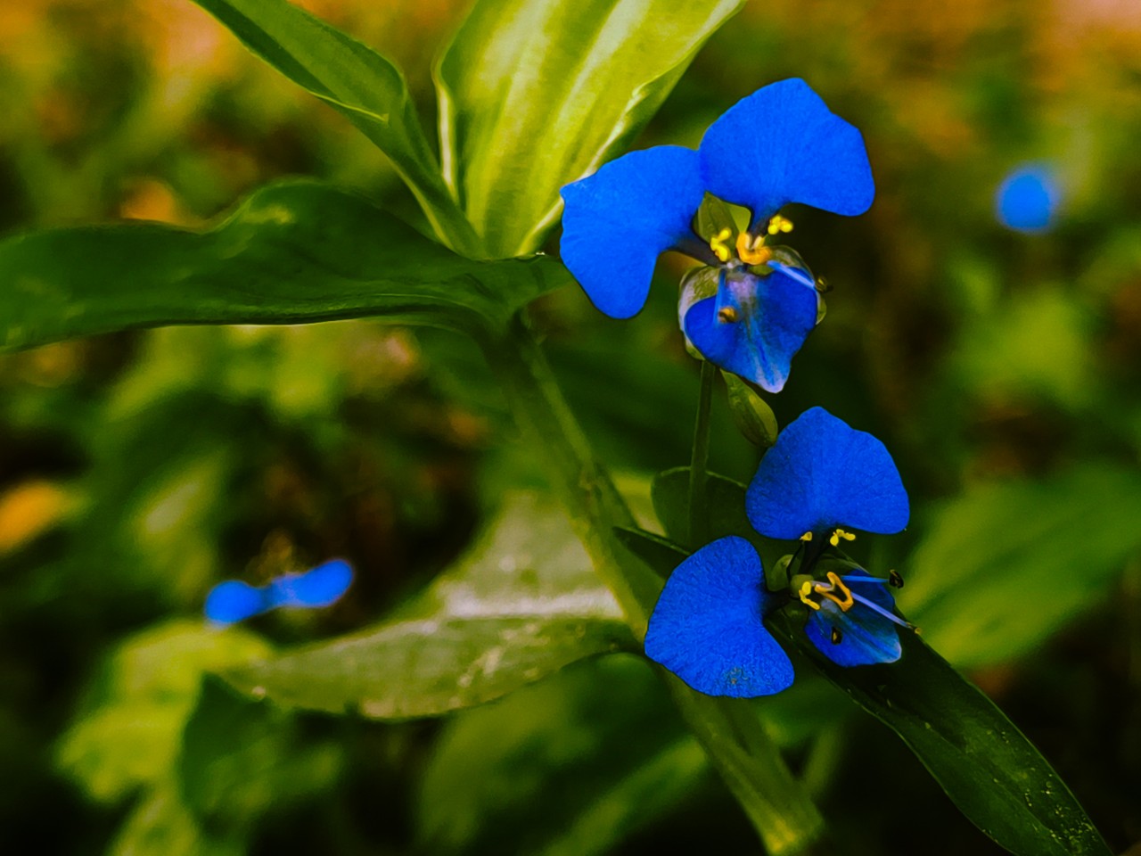 Beauty in the Mundane - Nature Photography Gallery