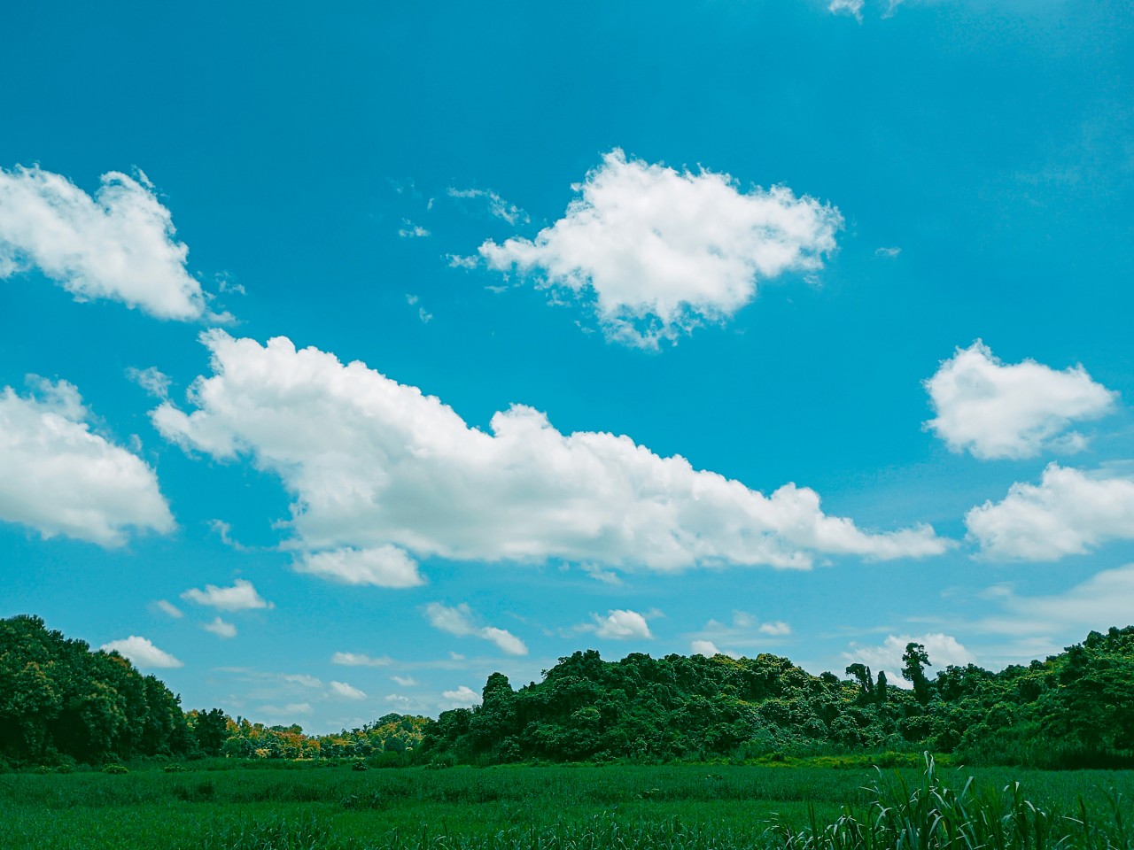 Symphony of Blue & Green - Nature Photography Gallery