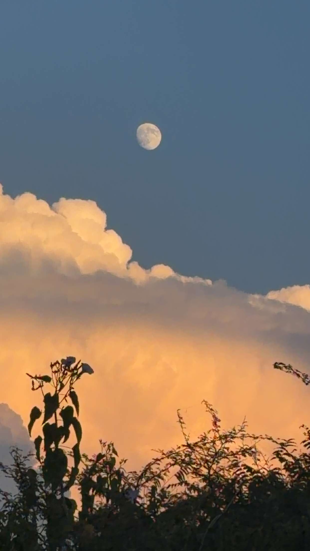 Moon Over Clouds - Nature Photography Gallery